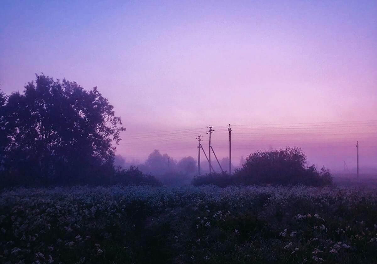 深入探讨：韩景枫的车评观点与独特见解